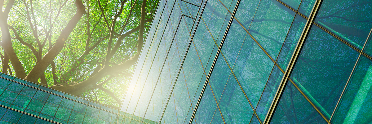 green building and trees in the background